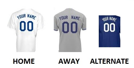 (image for) LOS ANGELES D Pro Baseball Number Kit - Click Image to Close